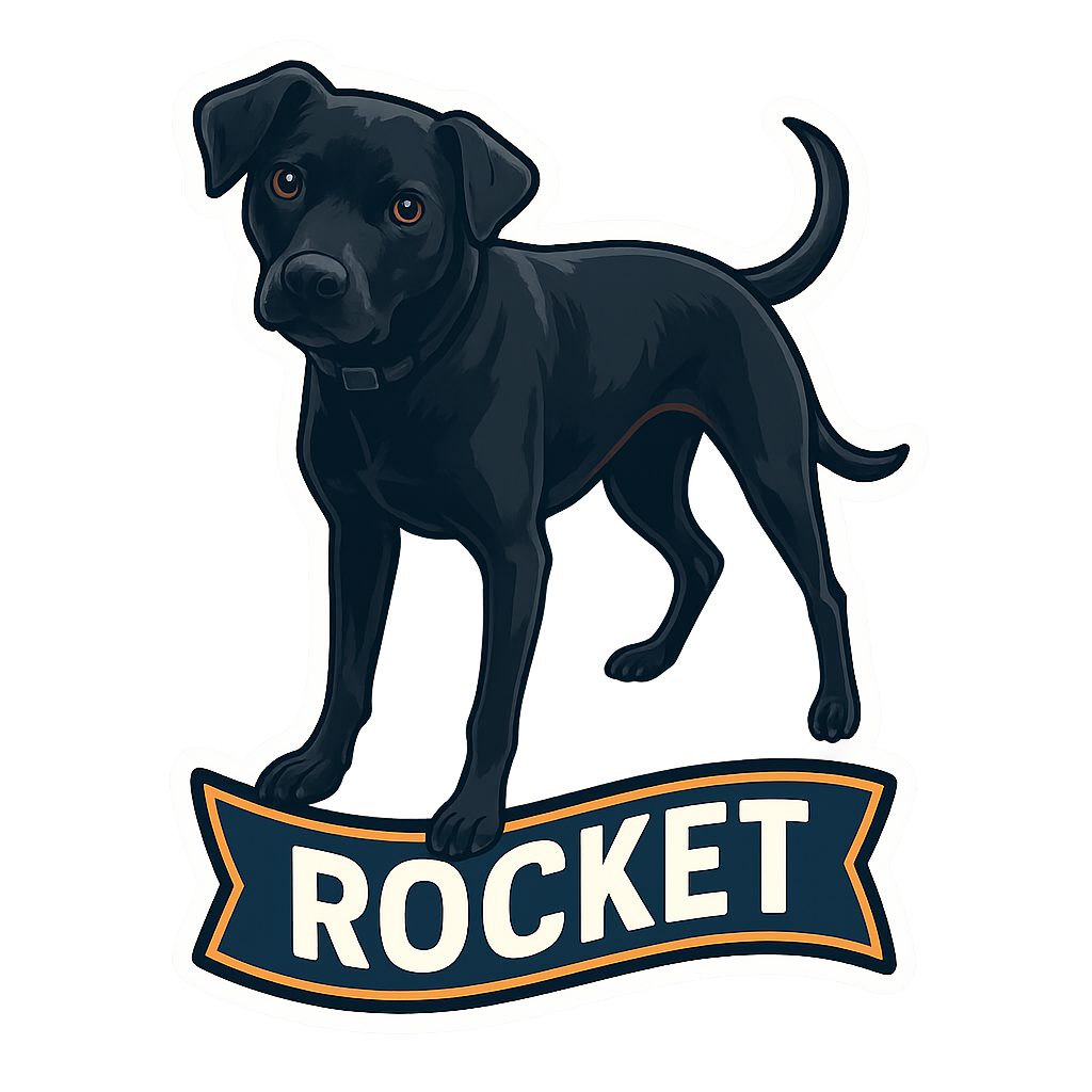 Rocket - Classic Sticker