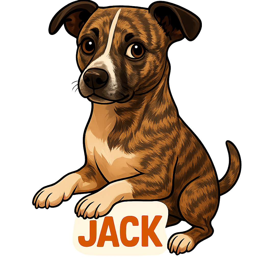 Jack
