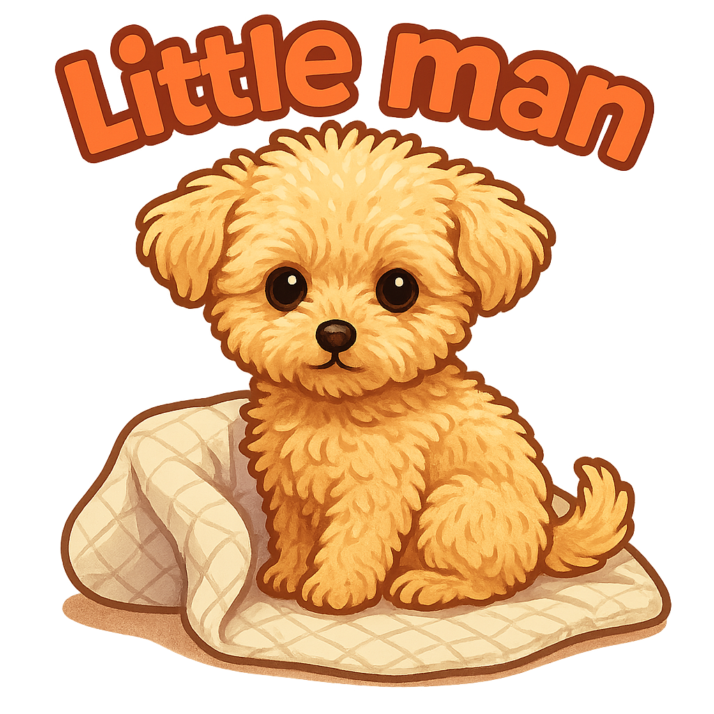 Custom Little man sticker - Little Man, the small and delicate Poodle, is as endearing as they come. His soft, fluffy coat and calm, slightly curious expression make him the perfect model for a custom sticker.