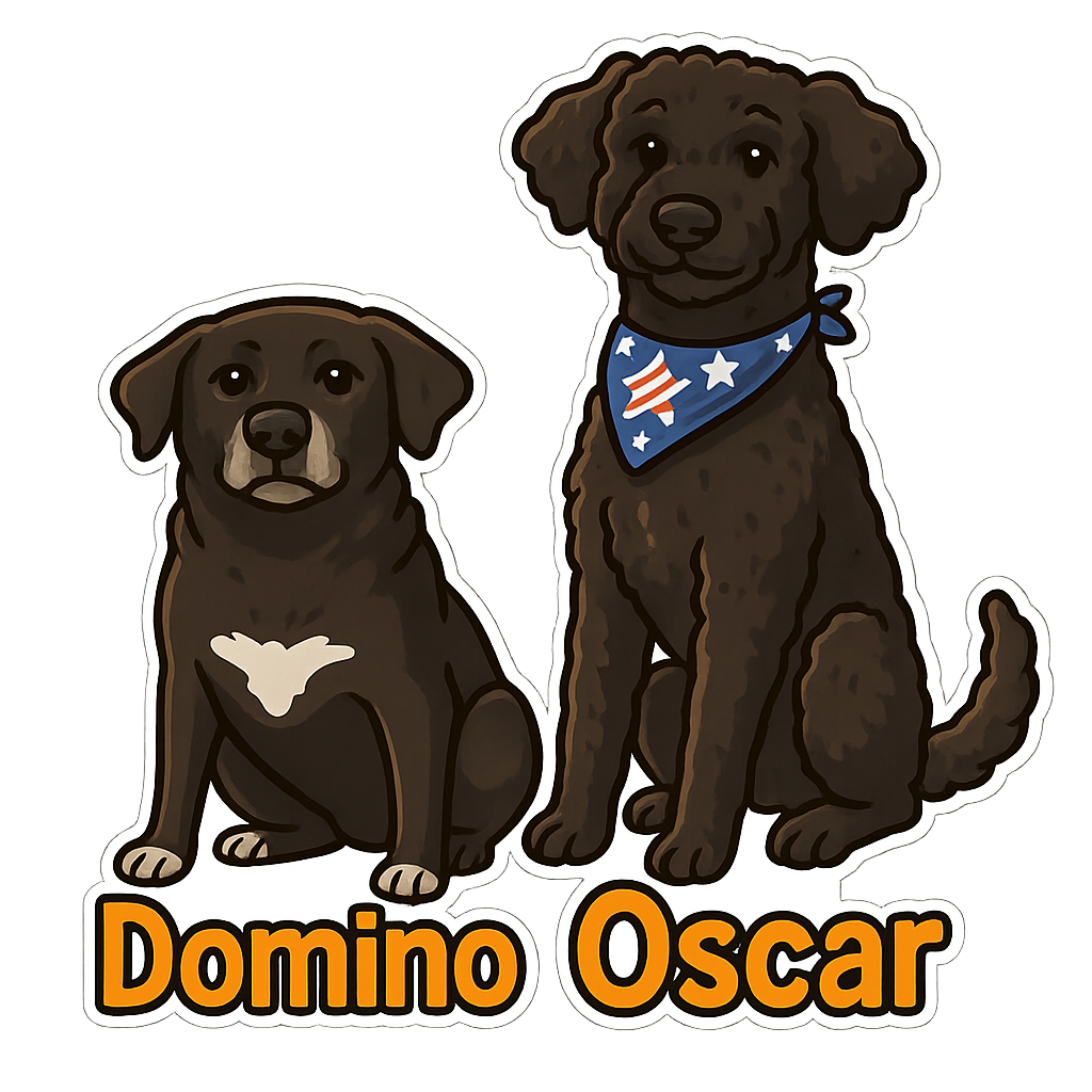 Domino, Oscar