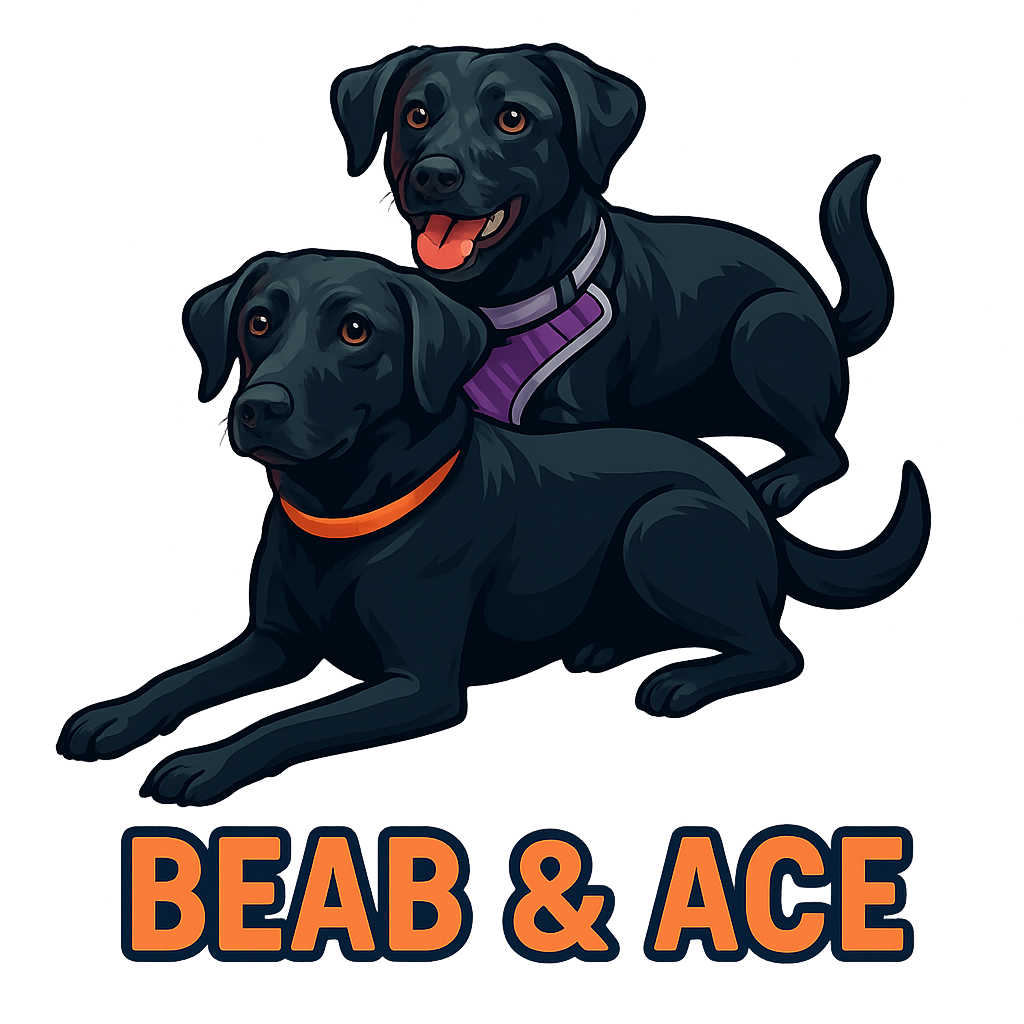 Beab & Ace
