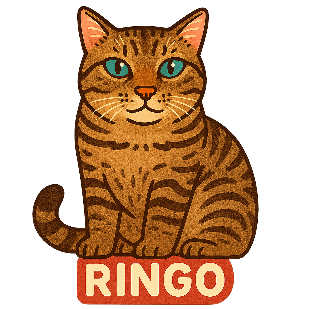 Ringo - Classic Sticker