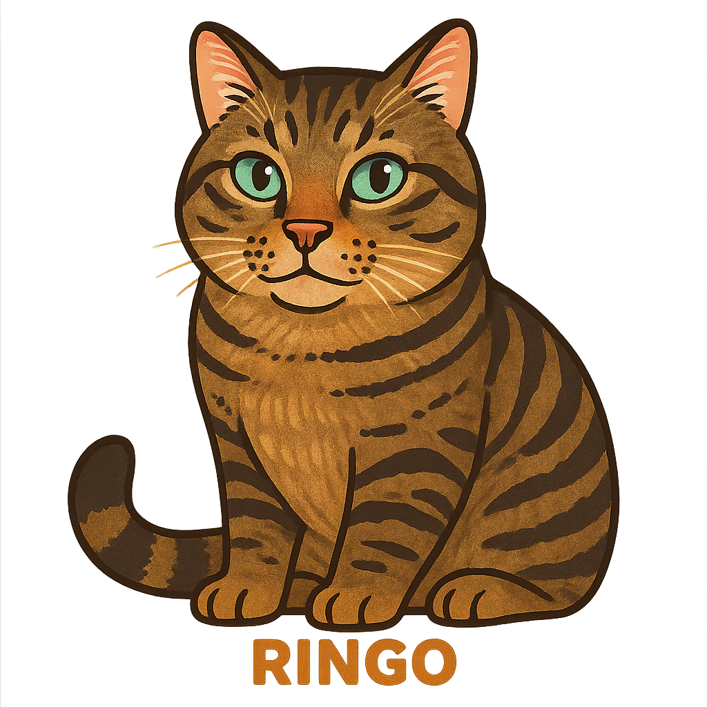 Ringo - Classic Sticker