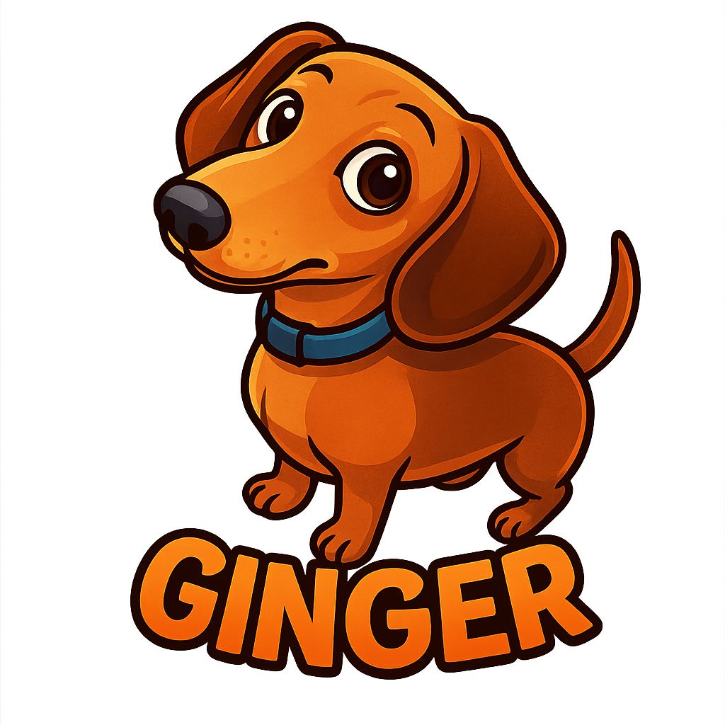 Ginnger