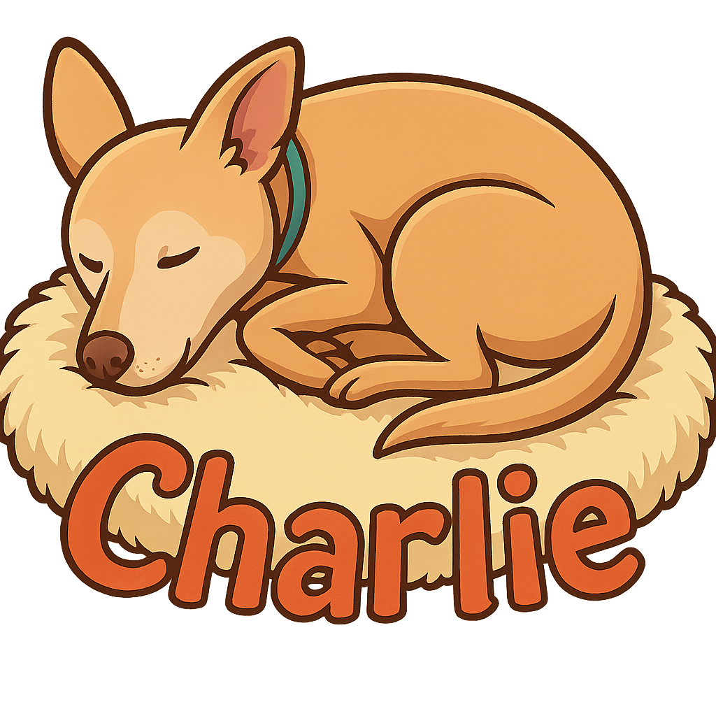 Custom Charlie  sticker - Charlie is a serene Chihuahua-Terrier mix, rocking a light tan coat and oversized ears that stand at attention even when he's curled up for a nap. This sticker captures his calm, endearing spirit perfectly.