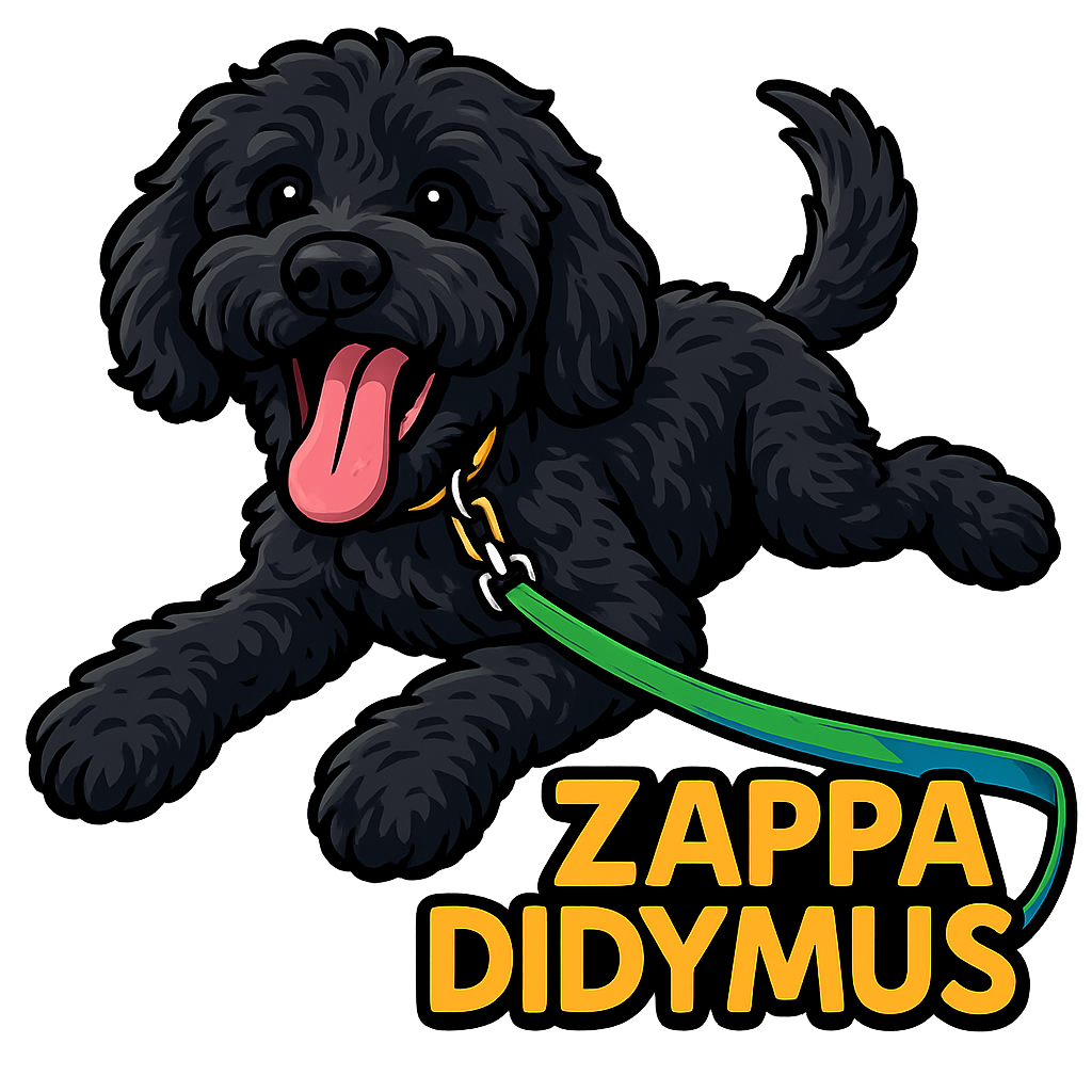 Zappa Didymus