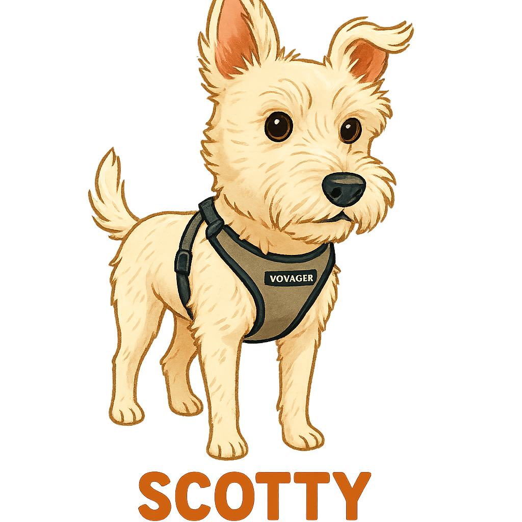 Scotty - Classic Sticker