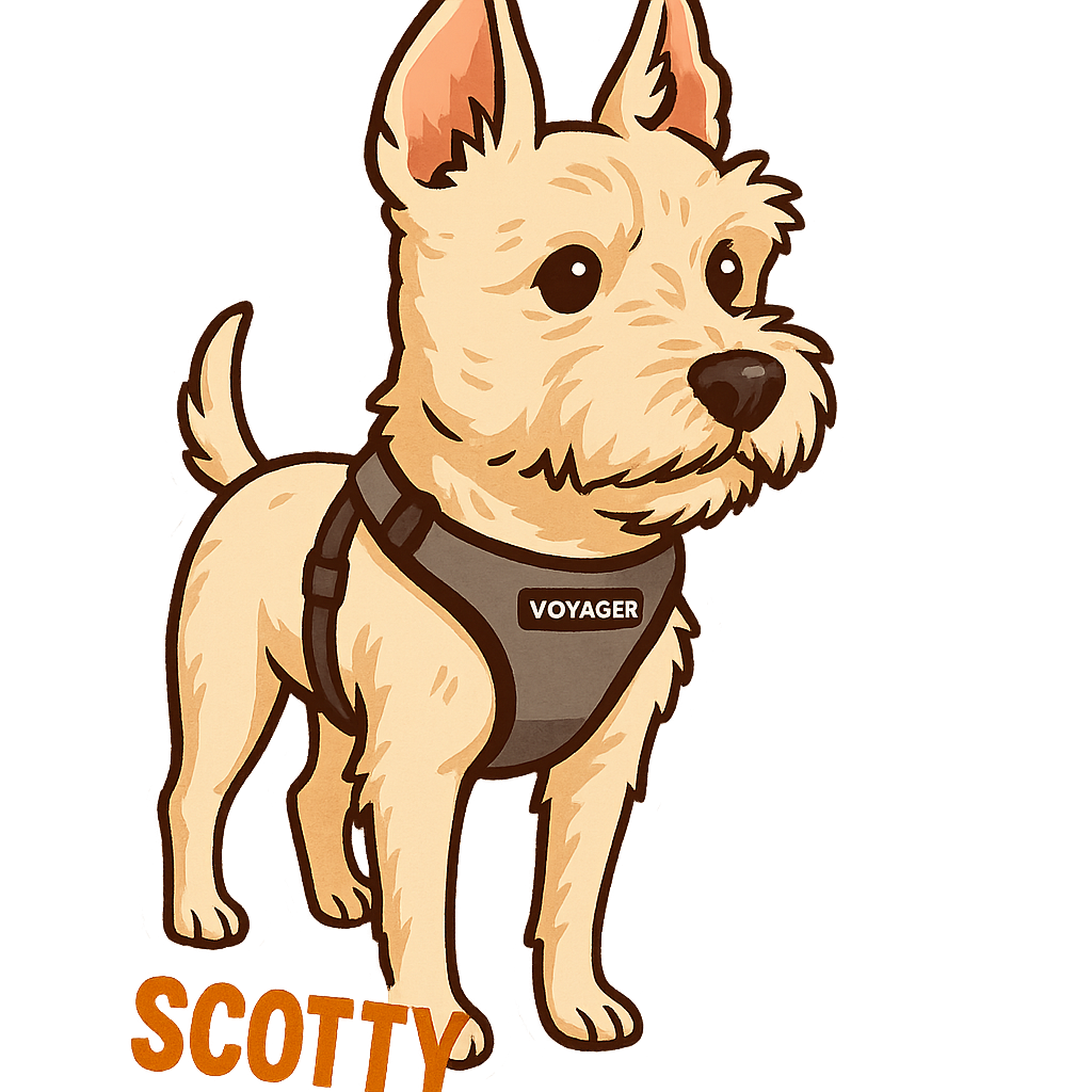 Scotty - Classic Sticker