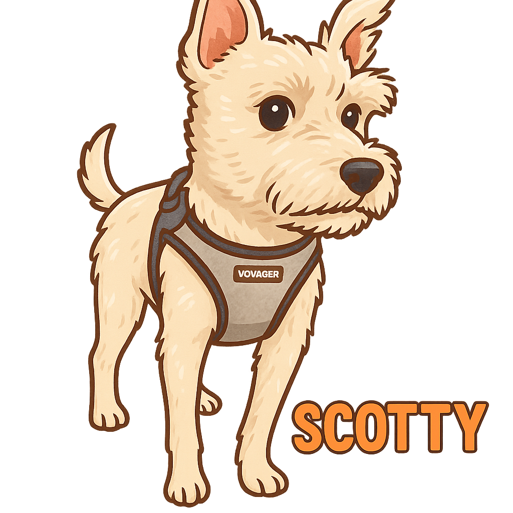Scotty - Classic Sticker
