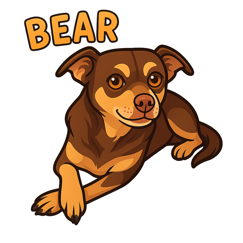 Bear  - Classic Sticker