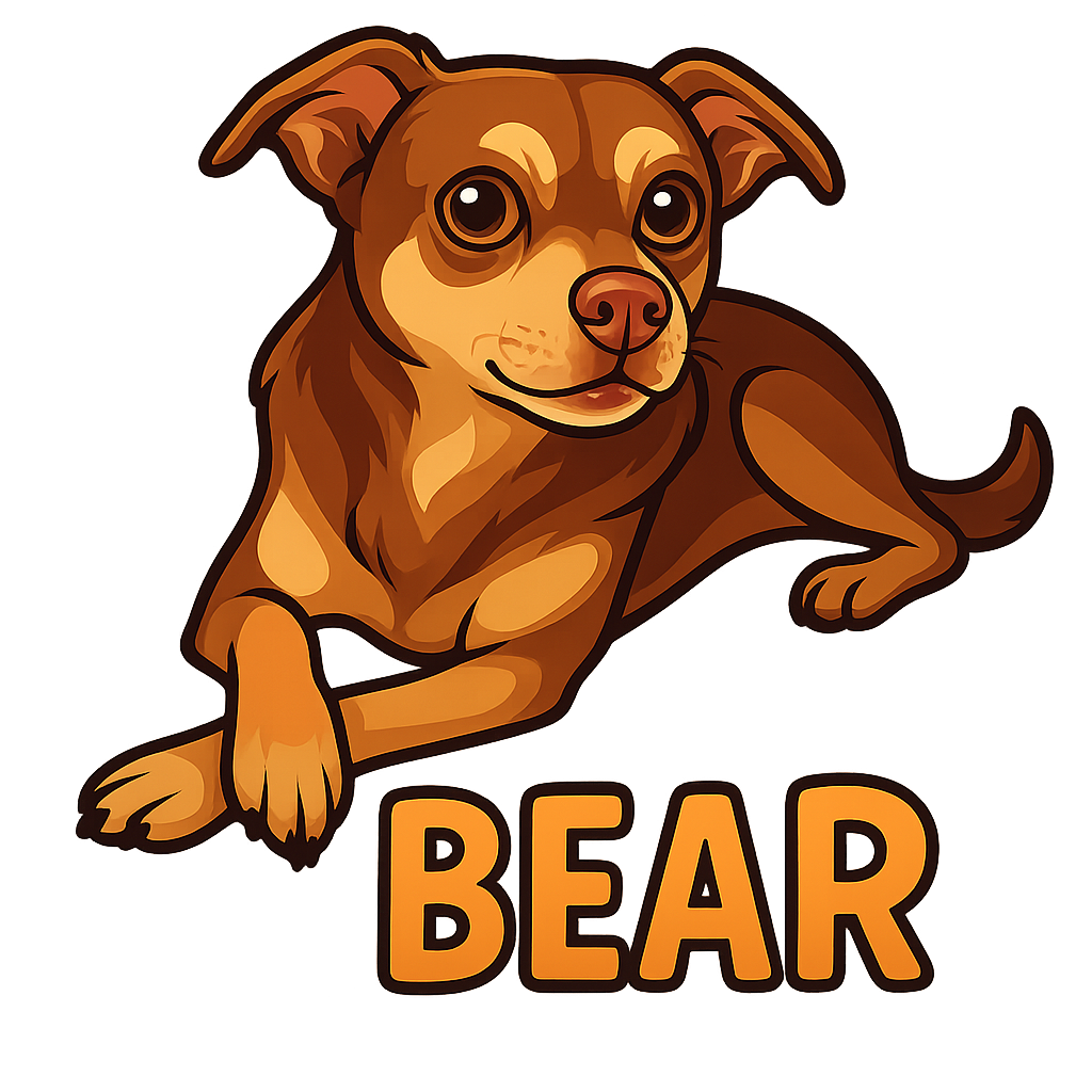 Bear  - Classic Sticker
