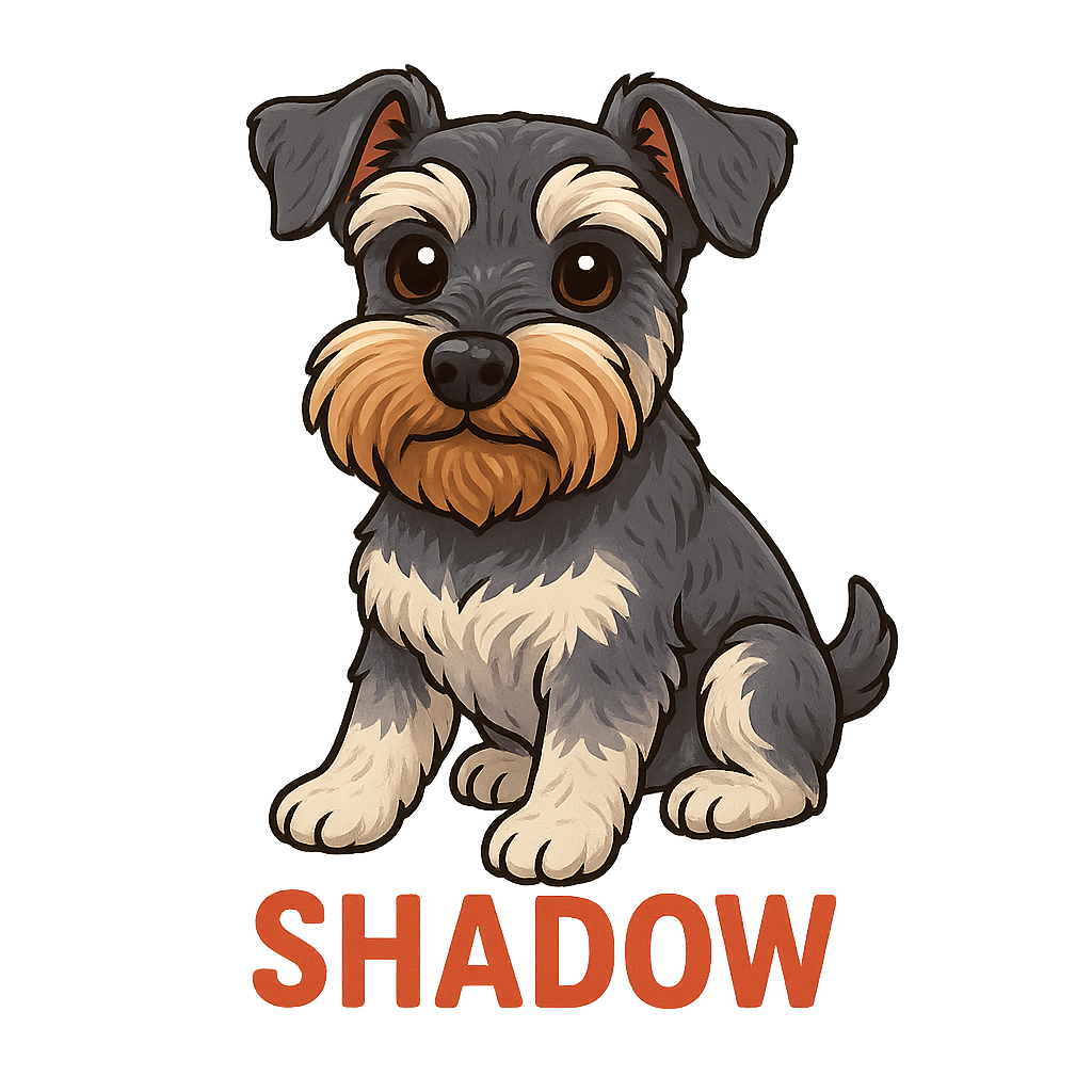 Shadow