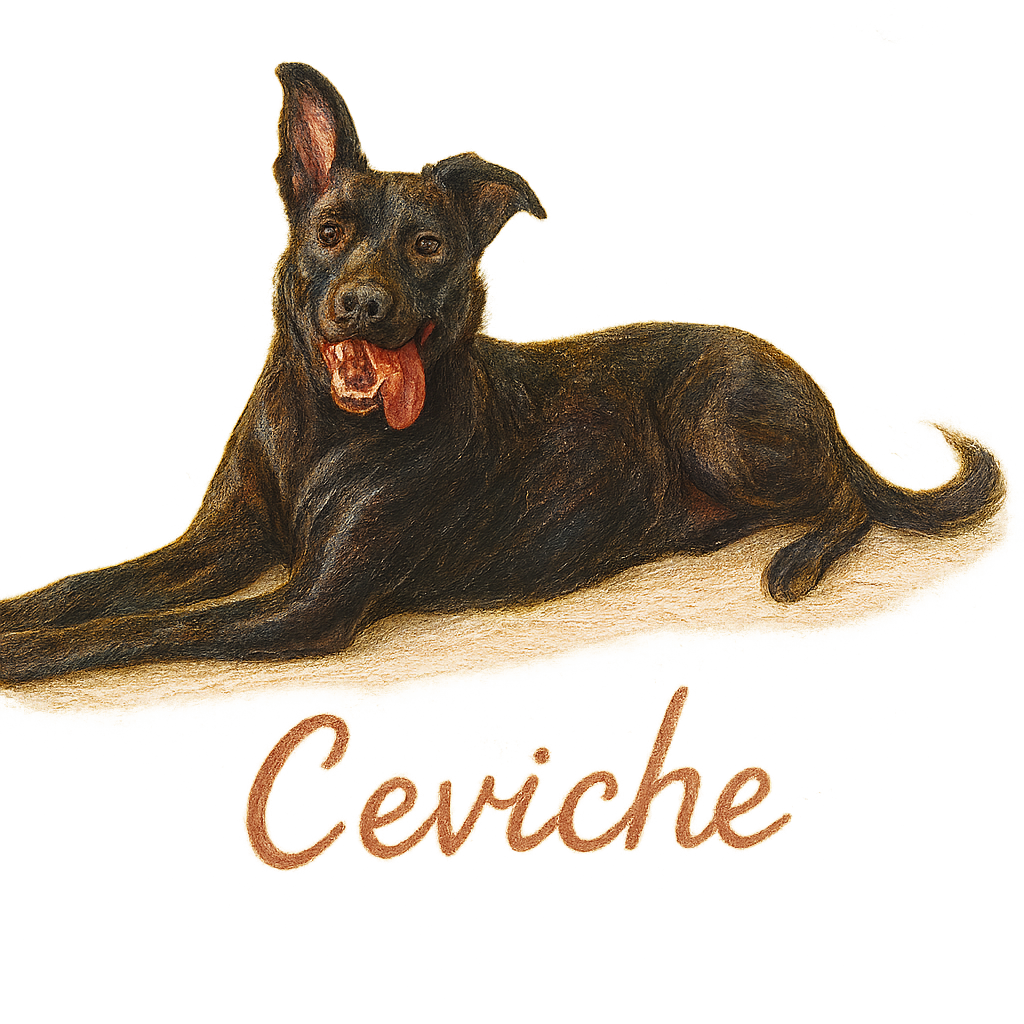 Ceviche - Realistic