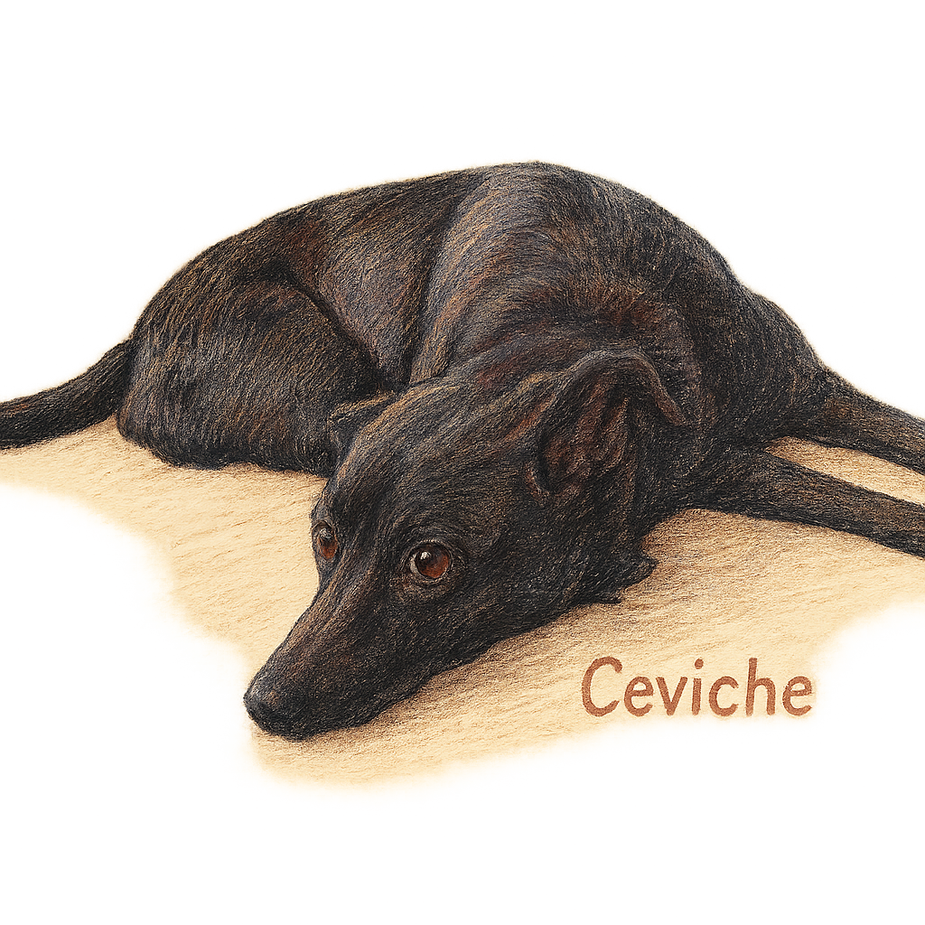 Ceviche - Realistic