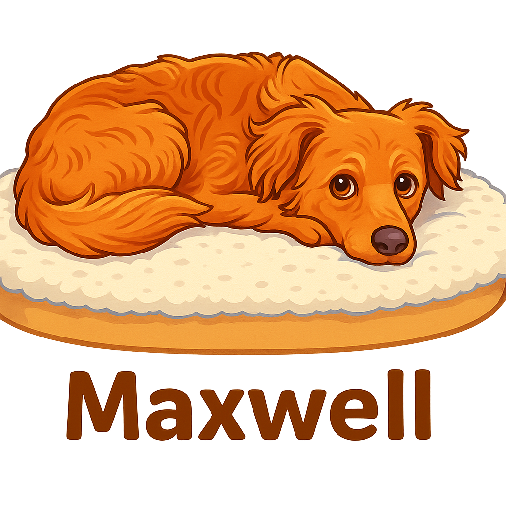 Maxwell