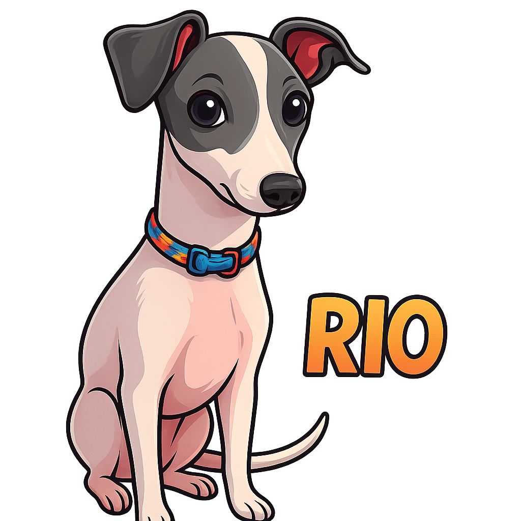 Rio