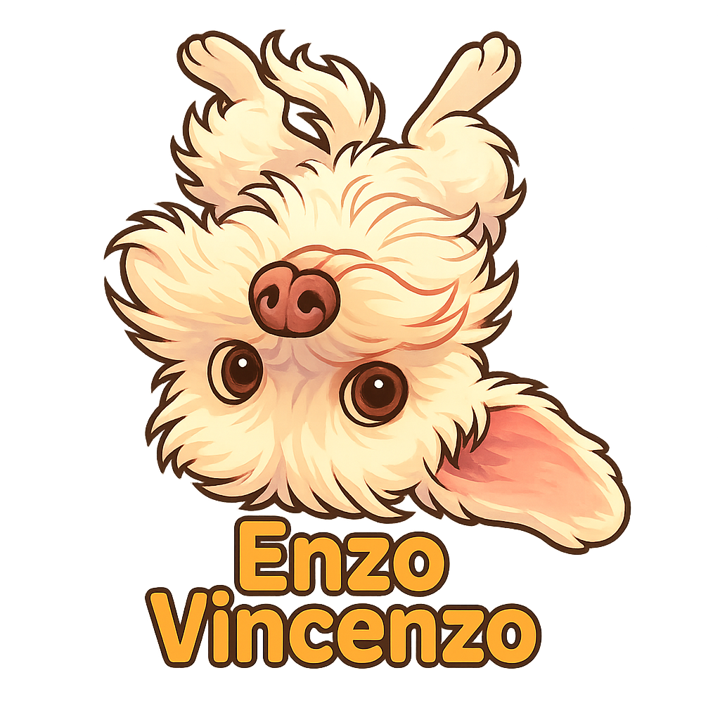 Enzo Vincenzo 
