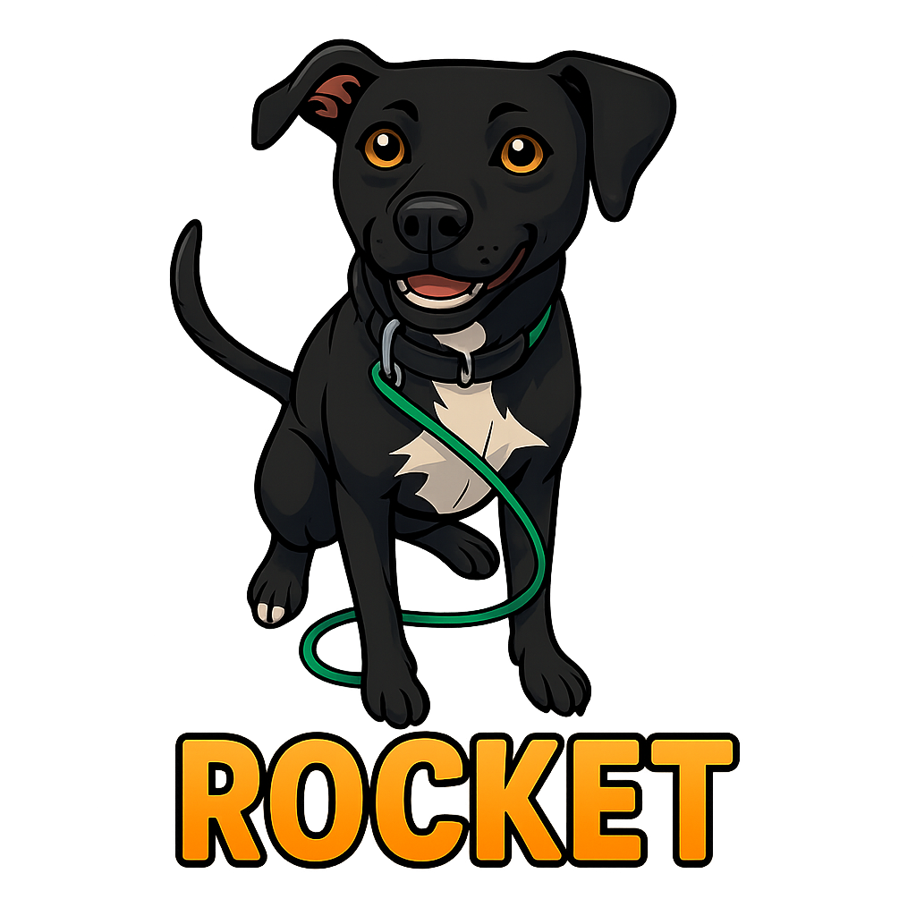 Rocket's sticker