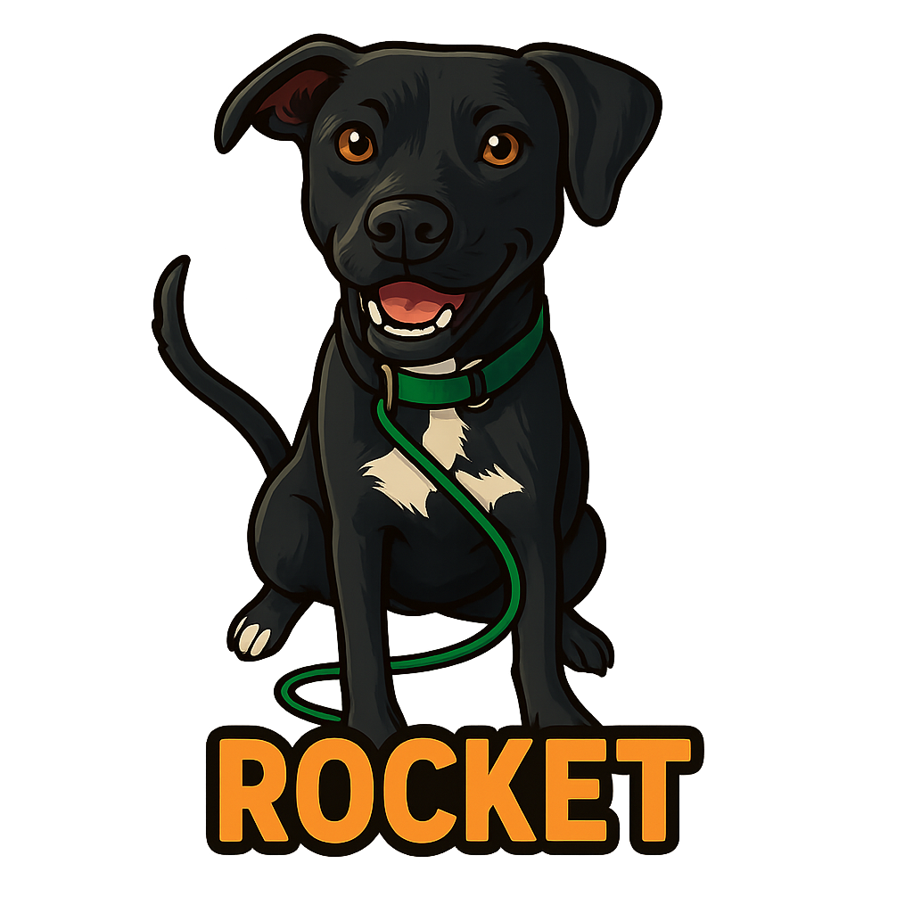 Rocket - Classic Sticker
